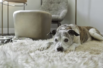 towneplace suites chattanooga south east ridge