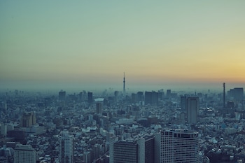 bellustar tokyo a pan pacific hotel