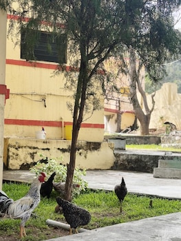 Corniche Inn Resort,Anaikatti>>Coimbatore,2 star