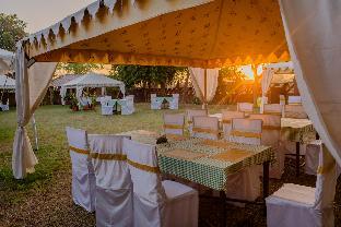 the desert haveli resort and camp