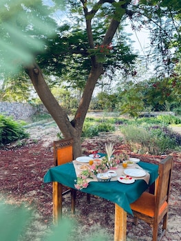 hariyali dhani camps and resorts