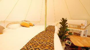 the wild khao yai