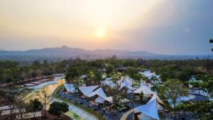 the wild khao yai