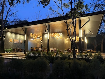 the wild khao yai