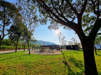 the wild khao yai