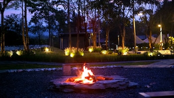 the wild khao yai