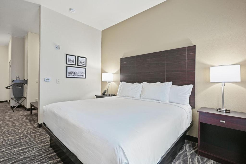 cobblestone hotel and suites mosinee