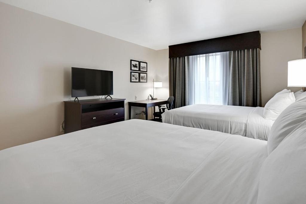 cobblestone hotel and suites mosinee
