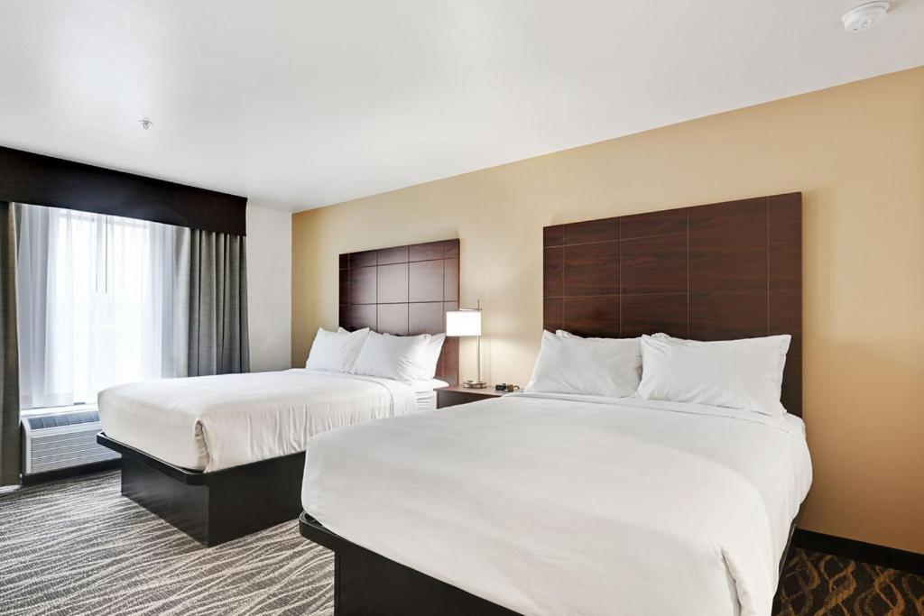 cobblestone hotel and suites mosinee