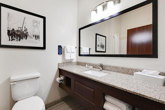 cobblestone hotel and suites mosinee