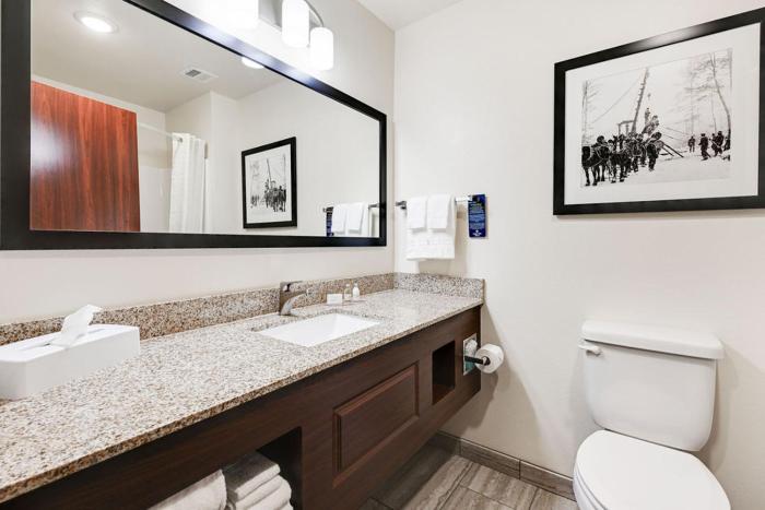 cobblestone hotel and suites mosinee