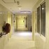 royalton hotel