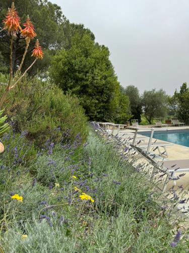 corte di valle wine and resort