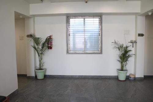 ankleshwar