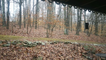lil black bear inn