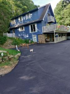 lil black bear inn