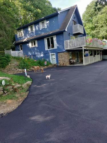 lil black bear inn