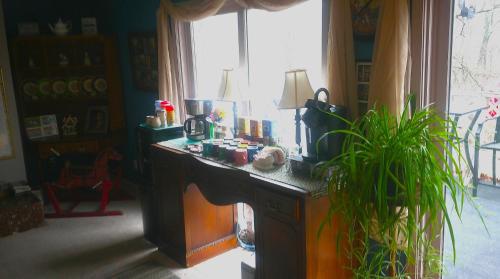 lil black bear inn