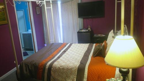lil black bear inn