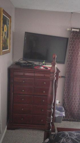 lil black bear inn