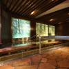 hotel sun valley nasu