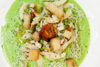 bellaria igea marina