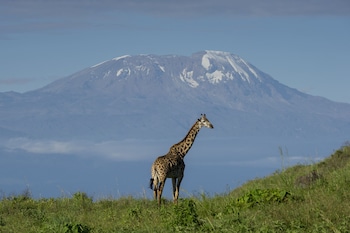 arusha serena hotel