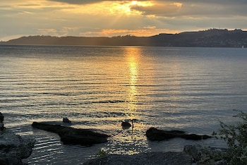 taupo