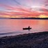 taupo
