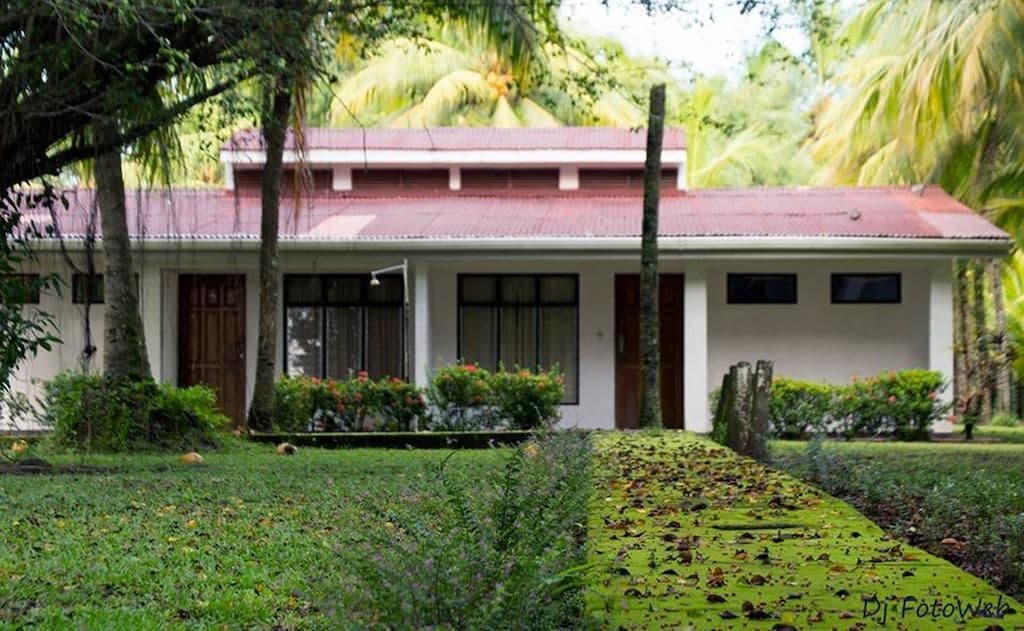 parrita