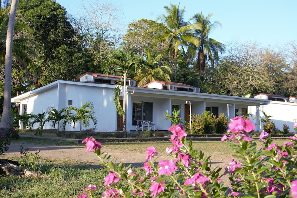 parrita