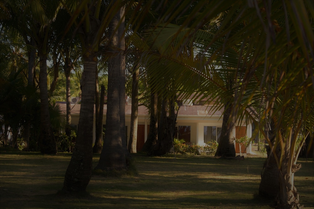 parrita