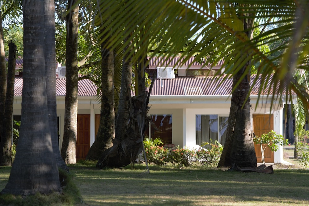 parrita