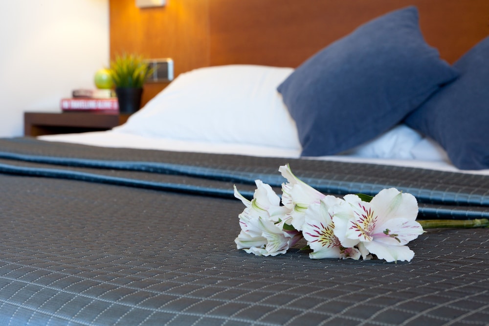 hotel porcel avant torrejon