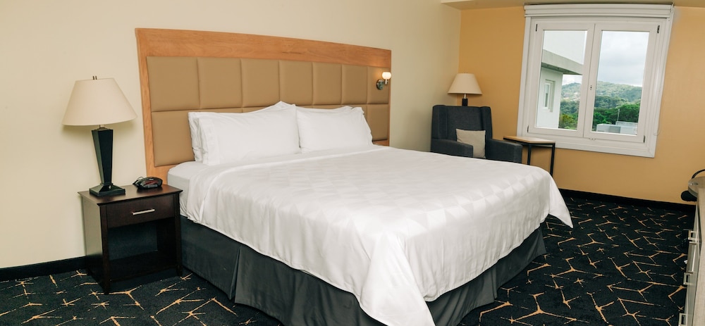 holiday inn san salvador an ihg hotel