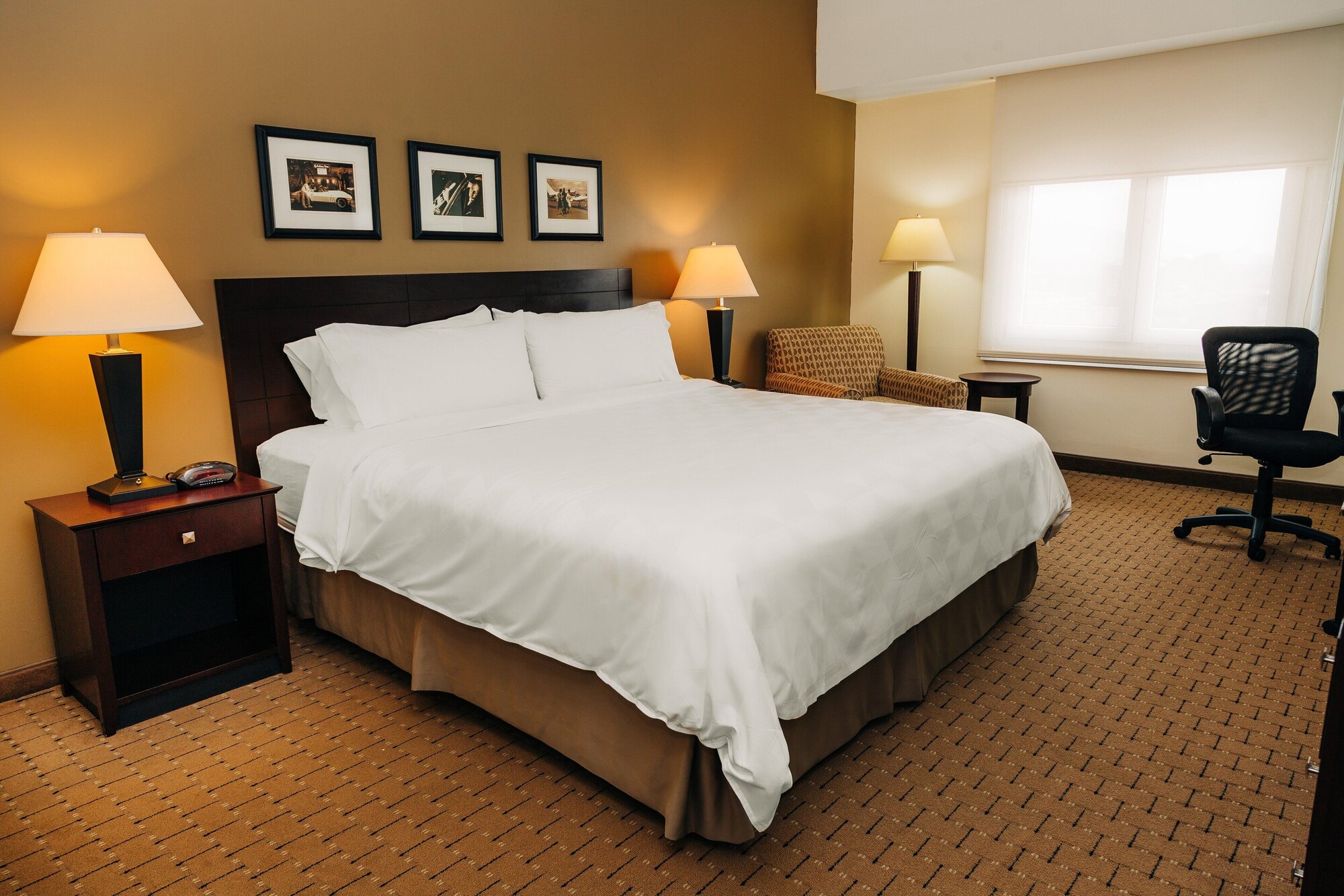 holiday inn san salvador an ihg hotel