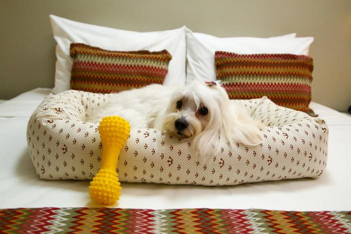 easy vitoria by atlantica