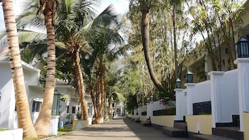 coco ocean resort and spa