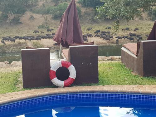 river house bush and safari lodge