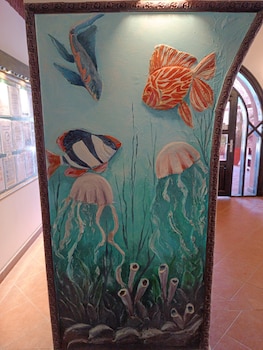 dream lagoon beach resort marsa alam