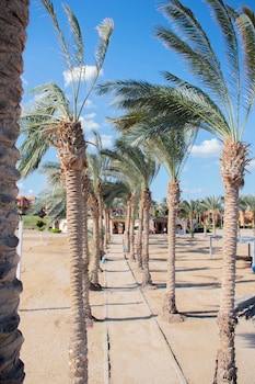 marsa alam
