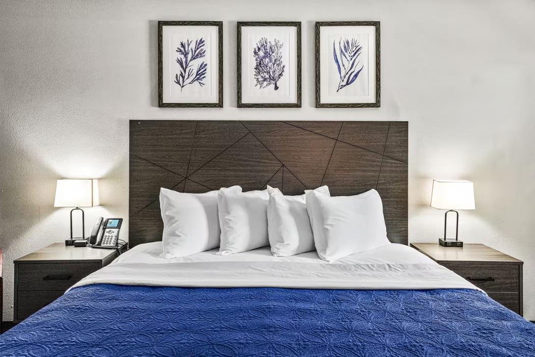 ocala suites