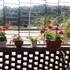 ha giang ali hotel