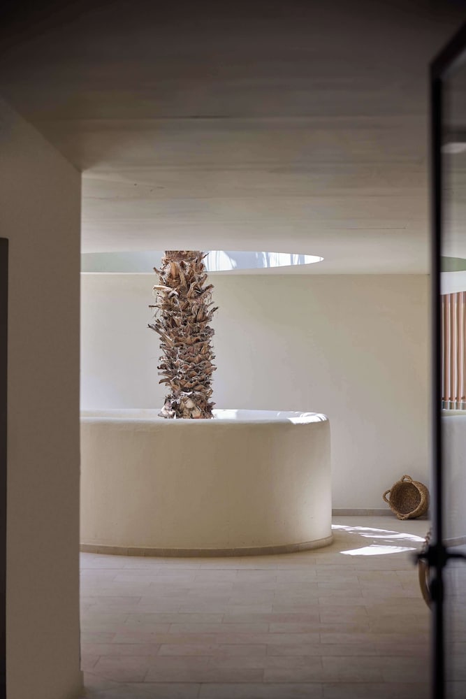 puerto de san miguel