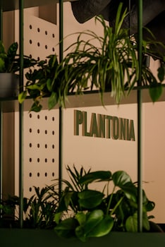 plantonia aparthotel