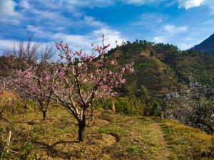 seclude ramgarh cliffs edge