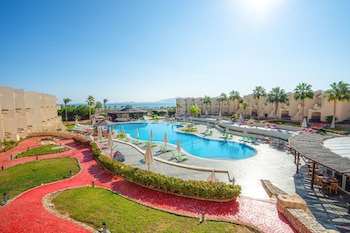 ivy cyrene sharm adults friendly plus 13