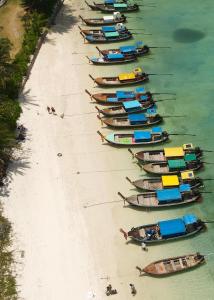 bodega hostel koh phangan