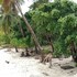 marine homestay