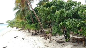 marine homestay